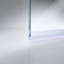 Schleiflippendichtung mit wechselbarer Einschubdichtung | 6 mm Glasstärke | 100 cm Länge  | 10,5 mm Höhe